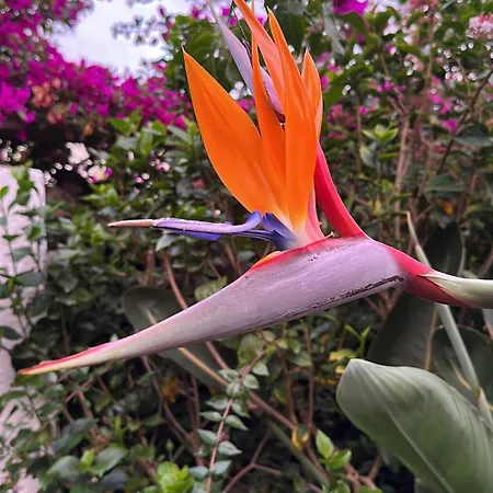 La Hoya 1-tradition Trifft Moderne- Meerblick, Pool & Wintergarten-2 Personen Apartmán