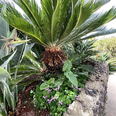 La Hoya 1-tradition Trifft Moderne- Meerblick, Pool & Wintergarten-2 Personen *