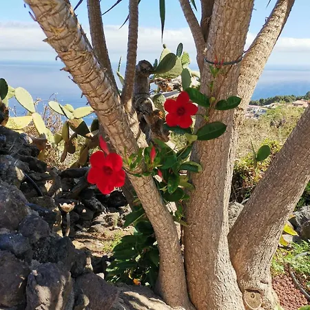 La Hoya 1-tradition Trifft Moderne- Meerblick, Pool & Wintergarten-2 Personen