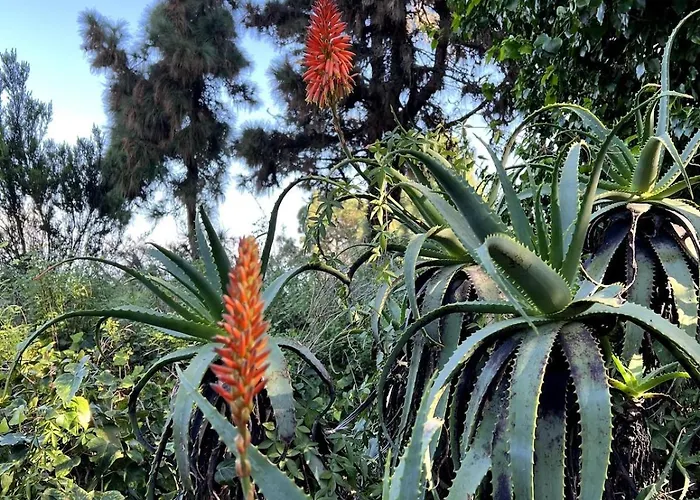 La Hoya 1-tradition Trifft Moderne- Meerblick, Pool & Wintergarten-2 Personen Lejlighed *