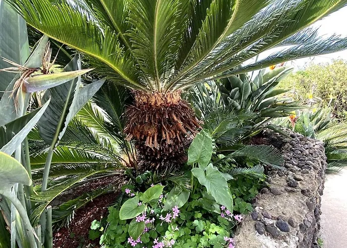 La Hoya 1-tradition Trifft Moderne- Meerblick, Pool & Wintergarten-2 Personen *