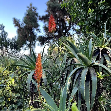 La Hoya 1-tradition Trifft Moderne- Meerblick, Pool & Wintergarten-2 Personen Daire *