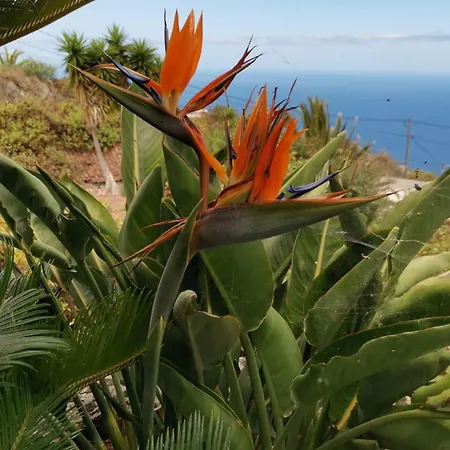 La Hoya 1-tradition Trifft Moderne- Meerblick, Pool & Wintergarten-2 Personen Daire