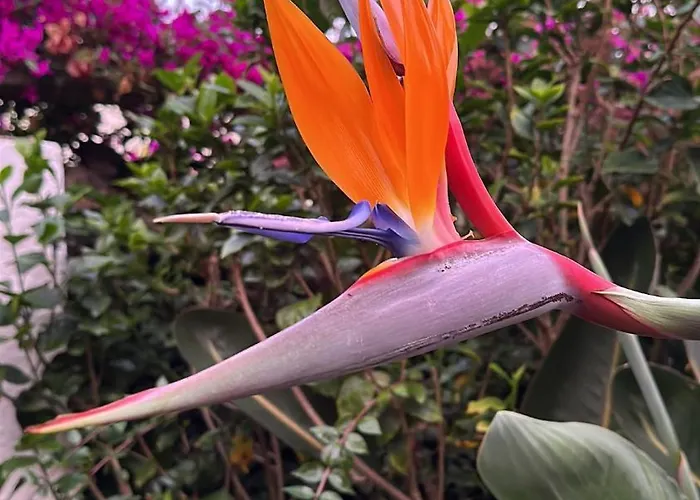 La Hoya 1-tradition Trifft Moderne- Meerblick, Pool & Wintergarten-2 Personen 公寓