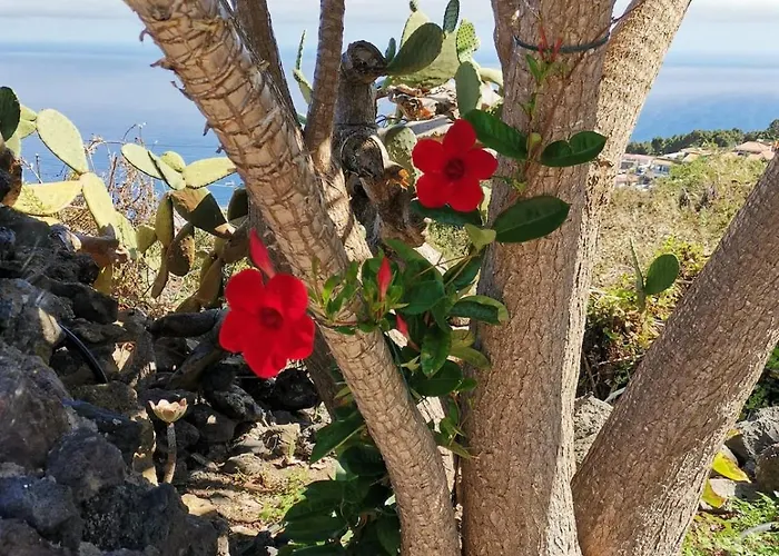 La Hoya 1-tradition Trifft Moderne- Meerblick, Pool & Wintergarten-2 Personen