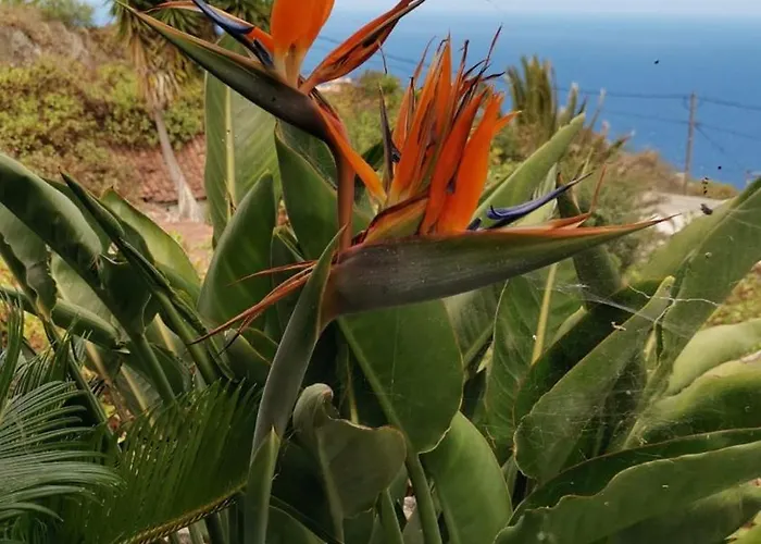 La Hoya 1-tradition Trifft Moderne- Meerblick, Pool & Wintergarten-2 Personen 公寓